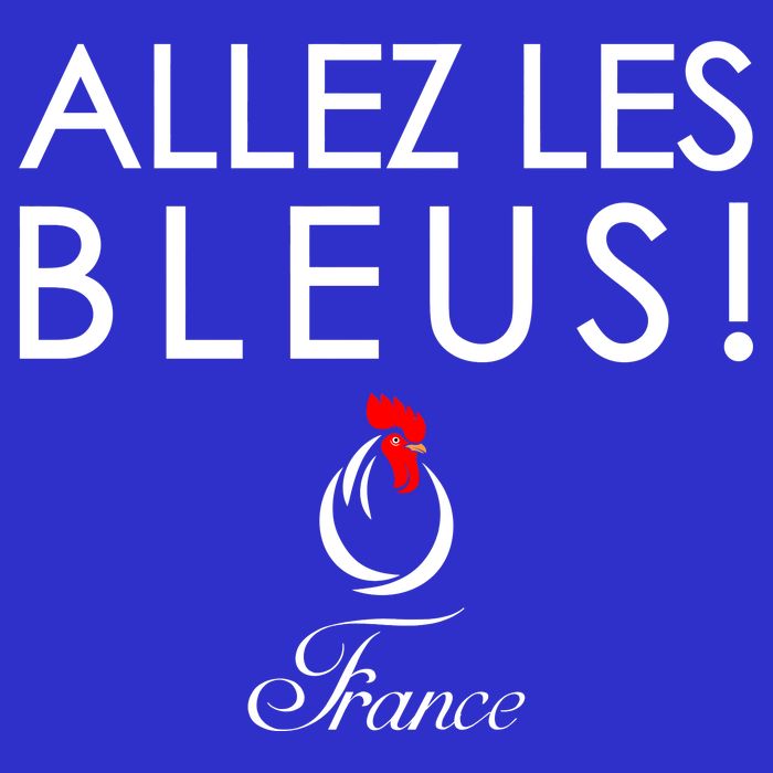 Allez Les Bleus France Soccer1 Polo
