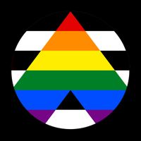 Ally Flag Circle Pyramid Pride Mug