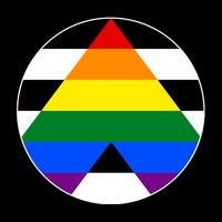 Ally Flag Circle Pyramid Pride 16 in Basic Backpack