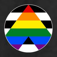 Ally Flag Circle Pyramid Pride Hat
