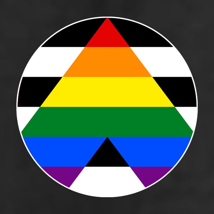 Ally Flag Circle Pyramid Pride Hat