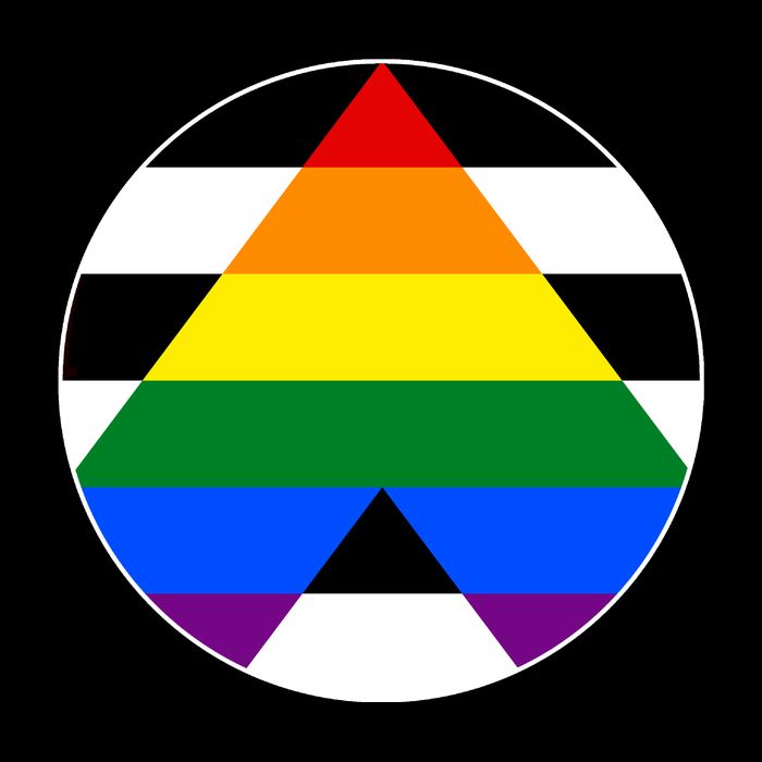 Ally Flag Circle Pyramid Pride Toddler T-Shirt