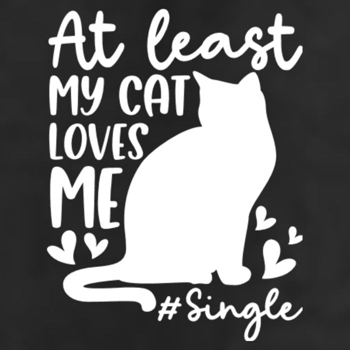 At Least My Cat Loves Me #Single Funny Cats Lover Quotes 15oz Campfire Ceramic Mug