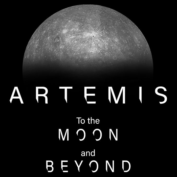 Artemis Launch Mission To The Moon And Beyond 16 in Basic Backpack