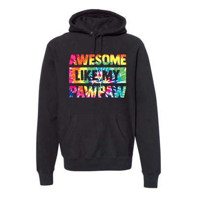 Awesome Like My Pawpaw Fathers Day Family Premium Hoodie