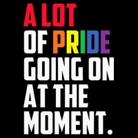 A Lot Of Pride Going On At The Moment Lgbt Pride Month Cooling Performance Crew T-Shirt