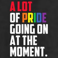 A Lot Of Pride Going On At The Moment Lgbt Pride Month 15oz Campfire Ceramic Mug