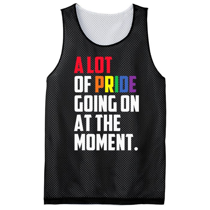 A Lot Of Pride Going On At The Moment Lgbt Pride Month Mesh Reversible Basketball Jersey Tank