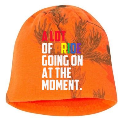 A Lot Of Pride Going On At The Moment Lgbt Pride Month Kati - Camo Knit Beanie