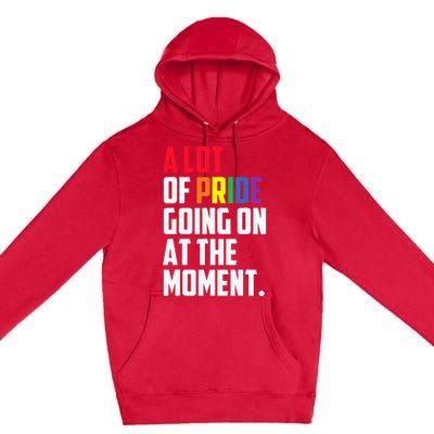 A Lot Of Pride Going On At The Moment Lgbt Pride Month Premium Pullover Hoodie