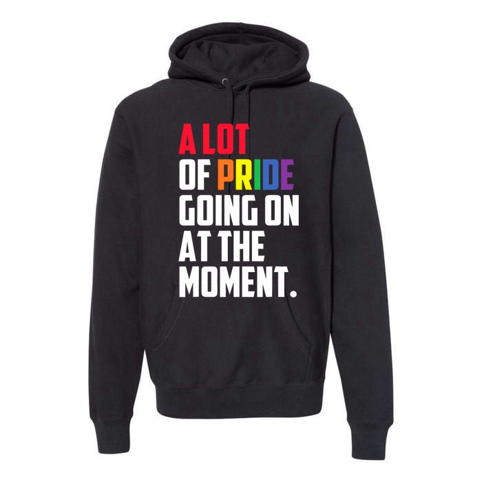 A Lot Of Pride Going On At The Moment Lgbt Pride Month Premium Hoodie