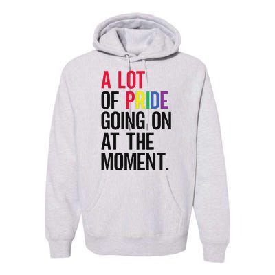 A Lot Of Pride Going On At The Moment Premium Hoodie