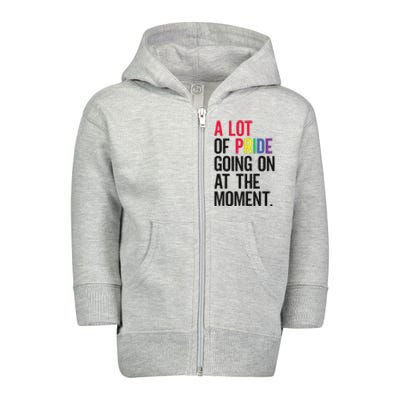 A Lot Of Pride Going On At The Moment Toddler Zip Fleece Hoodie