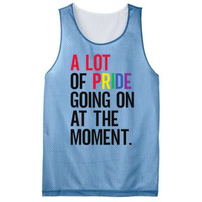 A Lot Of Pride Going On At The Moment Mesh Reversible Basketball Jersey Tank