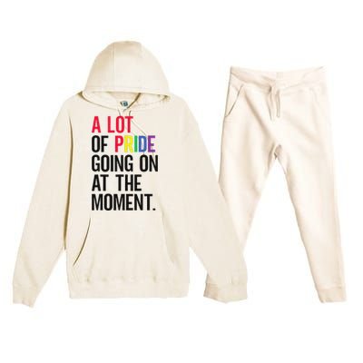 A Lot Of Pride Going On At The Moment Premium Hooded Sweatsuit Set