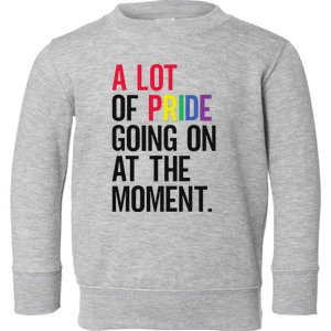 A Lot Of Pride Going On At The Moment Toddler Sweatshirt