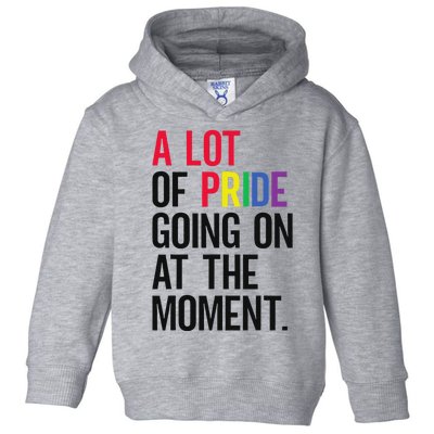 A Lot Of Pride Going On At The Moment Toddler Hoodie