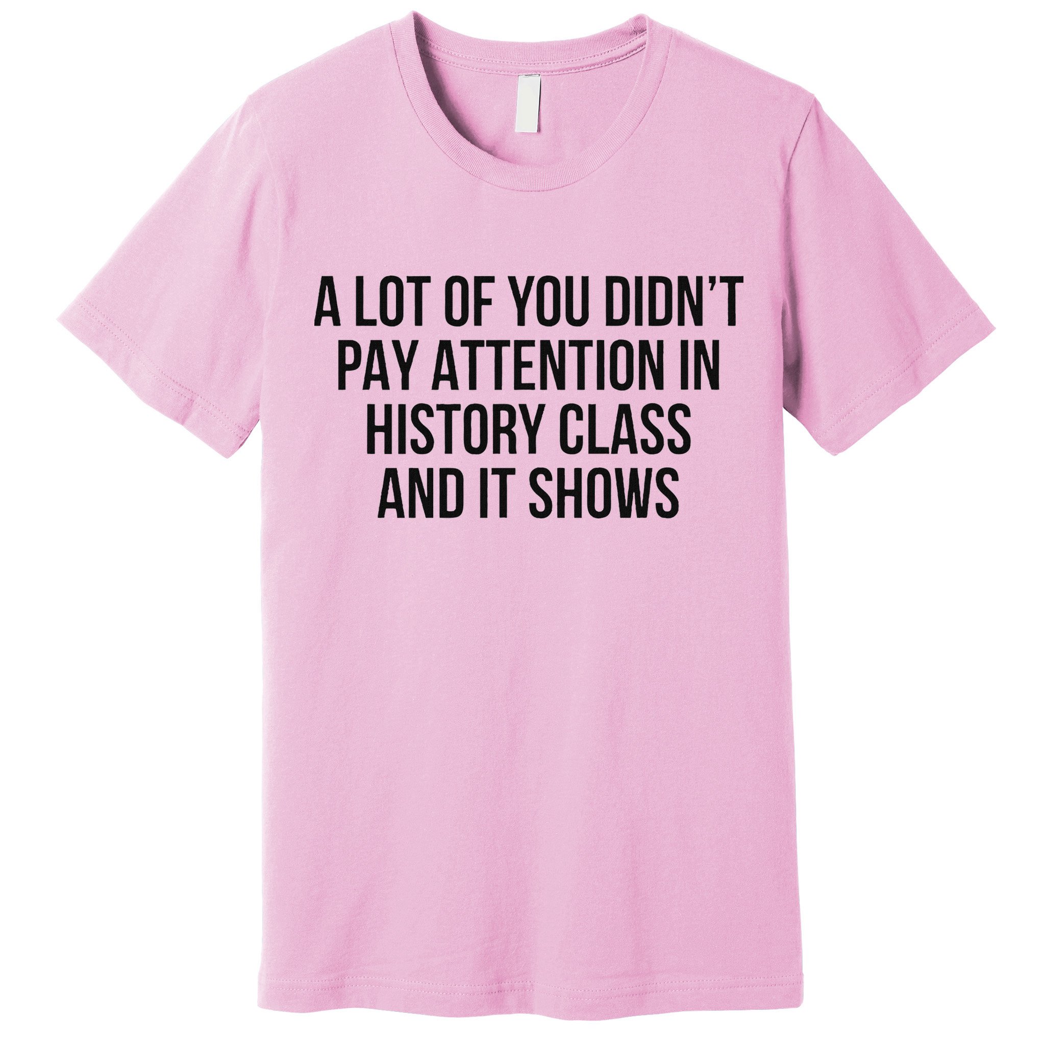 A Lot Of You Didn’T Pay Attention In History Class And It Premium T-Shirt