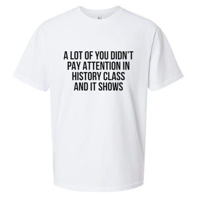 A Lot Of You Didn’T Pay Attention In History Class And It Sueded Cloud Jersey T-Shirt