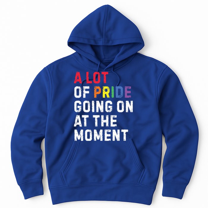 A Lot Of Pride Going On At Moment Hoodie