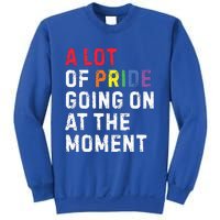 A Lot Of Pride Going On At Moment Sweatshirt