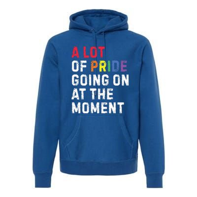 A Lot Of Pride Going On At Moment Premium Hoodie