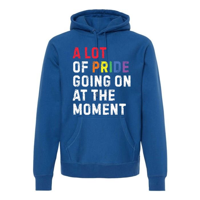 A Lot Of Pride Going On At Moment Premium Hoodie