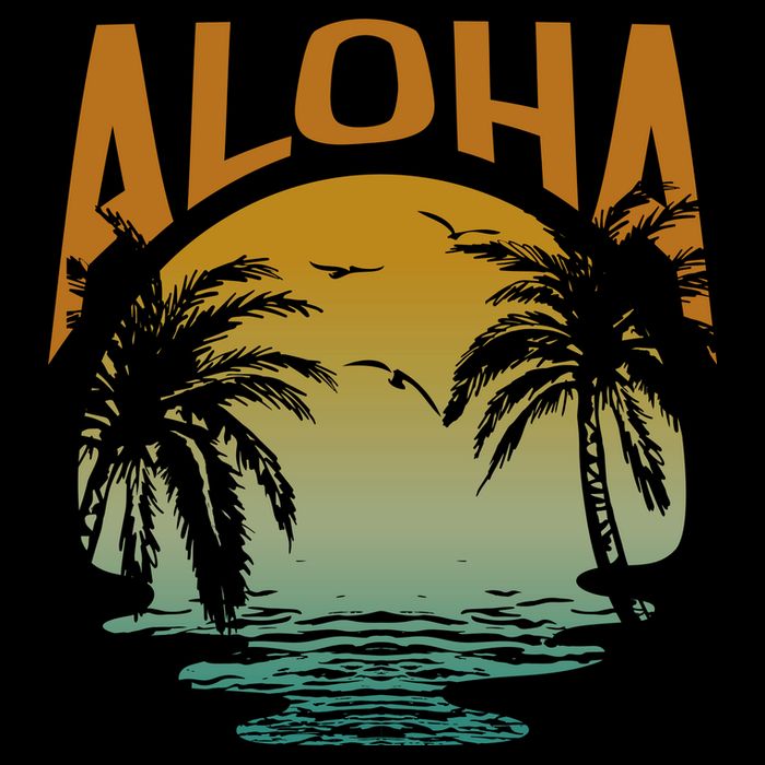 Aloha Summer Beach Wool Snapback Cap