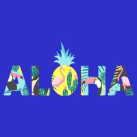 Aloha Tropical Style Womens T-Shirt