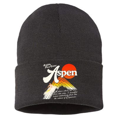 A Little Place Called Aspen Dumb &Amp; Dumber Sustainable Knit Beanie