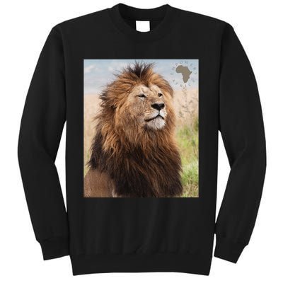 African Lion Pride Tall Sweatshirt