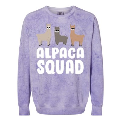 Alpaca Squad Colorblast Crewneck Sweatshirt