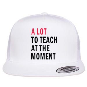 A Lot To Teach At The Moment Flat Bill Trucker Hat