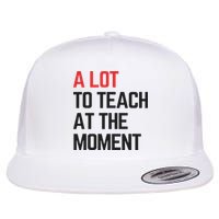 A Lot To Teach At The Moment Vibes, Inspiring Lessons Moment Flat Bill Trucker Hat