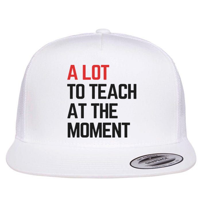 A Lot To Teach At The Moment Vibes, Inspiring Lessons Moment Flat Bill Trucker Hat