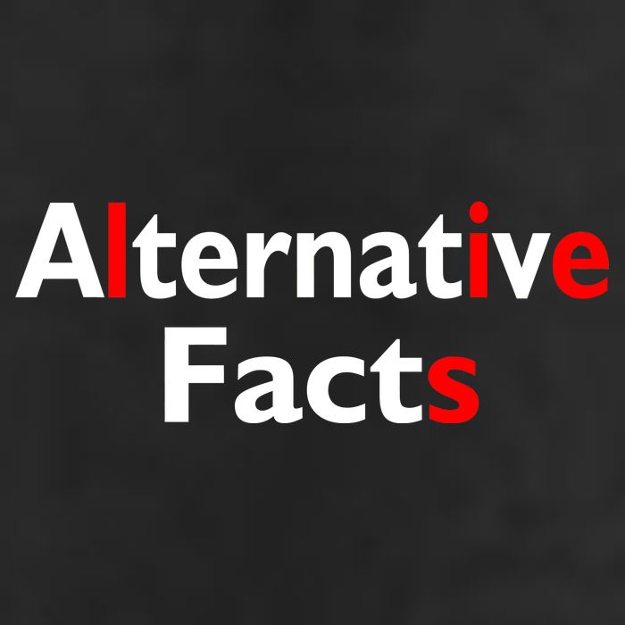 Alternative Facts Lies 11oz C Handle Ceramic Mug