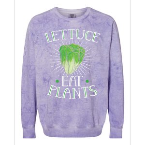 Animal Love Vegetarian Vegan Lettuce Eat Plants Cool Gift Colorblast Crewneck Sweatshirt