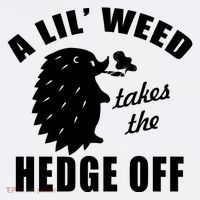 A Lil' Weed Takes The Hedge Off Flat Bill Trucker Hat
