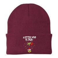 A Little Who Is Due Pregnancy Announcement Knit Cap Winter Beanie