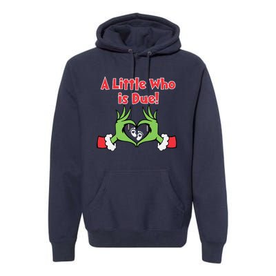 A Little Who Is Baby Due Announcement Pregnancy Nursing Xmas Premium Hoodie