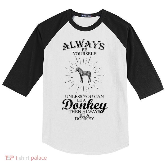 Always Be A Donkey Kids Colorblock Raglan Jersey