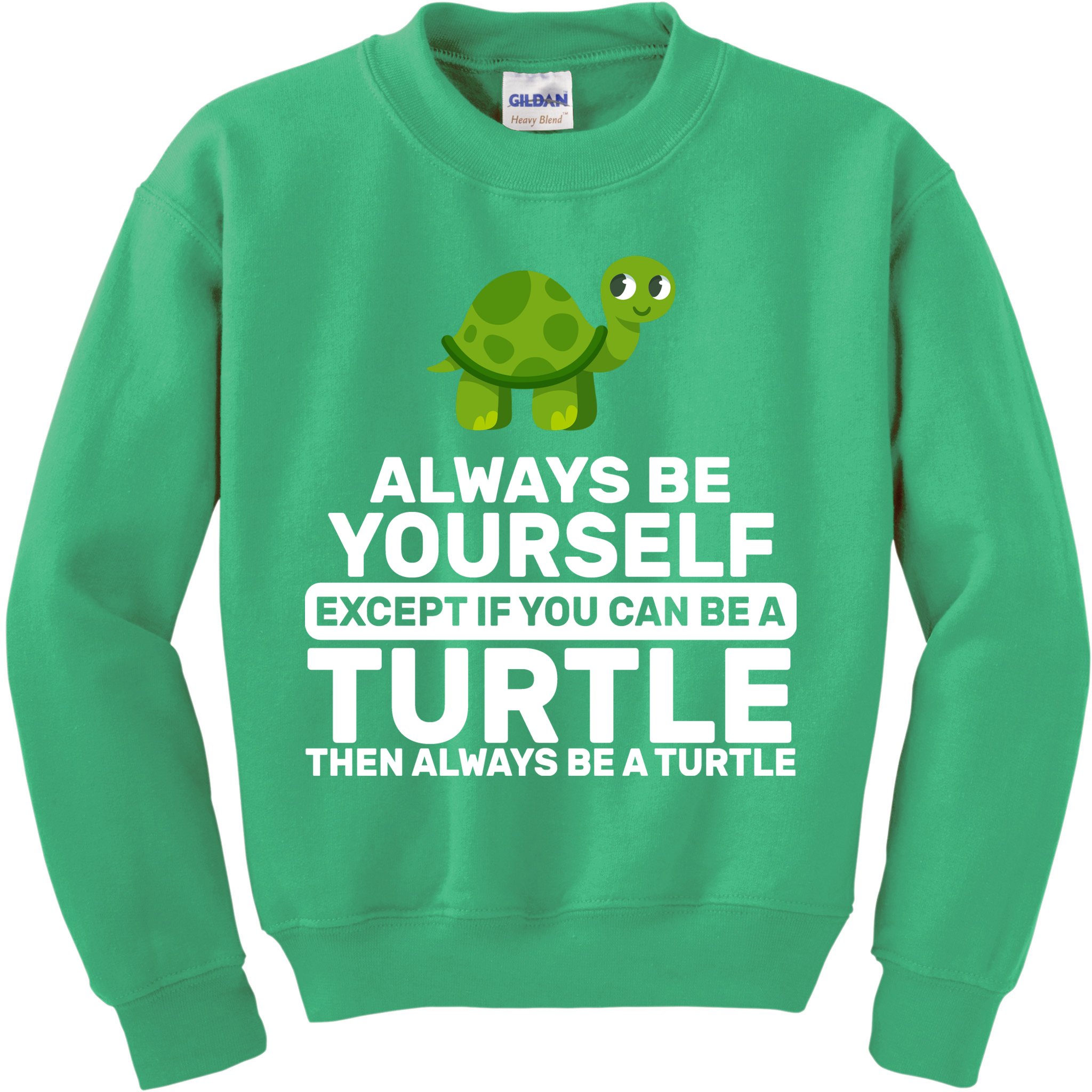 Always Be A Turtle Kids Sweatshirt
