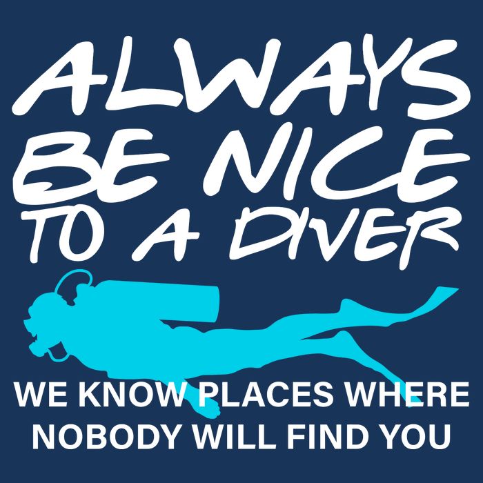 Always Be Nice To A Diver Pom Pom 12in Knit Beanie