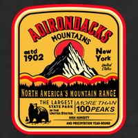 Adirondack Mountains (Adk) Aged Look 11oz C Handle Ceramic Mug