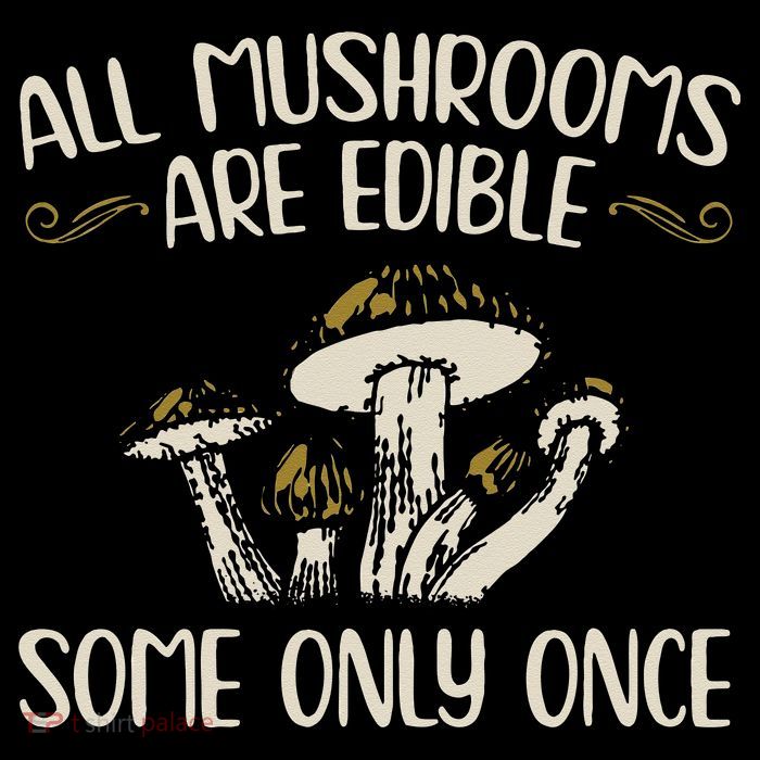 All Mushrooms Are Edible Some Only Once Mushroom Hunting Tall T-Shirt