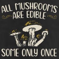 All Mushrooms Are Edible Some Only Once Mushroom Hunting Microfiber Hand Towel