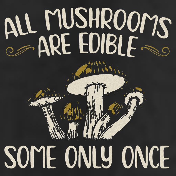 All Mushrooms Are Edible Some Only Once Mushroom Hunting Microfiber Hand Towel