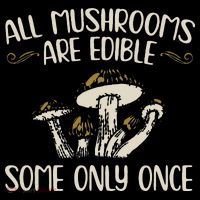 All Mushrooms Are Edible Some Only Once Mushroom Hunting Women's V-Neck T-Shirt