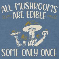 All Mushrooms Are Edible Some Only Once Mushroom Hunting Garment-Dyed Sweatshirt