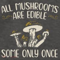 All Mushrooms Are Edible Some Only Once Mushroom Hunting Vector Backpack